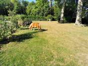 Propriété equestre orée de forêt Fontainebleau