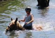 Centre équestre Château Laval - Pension chevaux 04