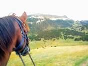 Week-end Randonnée à cheval Vercors