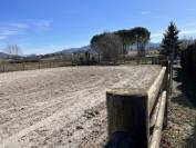 Paarden accommodatie Koop Alpes-de-Haute-Provence