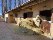 Charmante propriété équestre sur 1,7 ha entre Forcalquier et