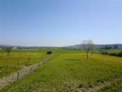 Charmante propriété équestre sur 1,7 ha entre Forcalquier et