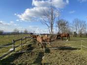 Equestrian property  Puy-de-Dôme