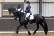 Mare Friesian For sale 2014 Black