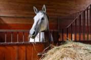 Equestrian property  Drôme