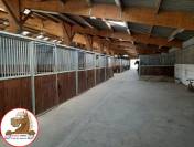 Proprietà equestre In vendita Dordogne