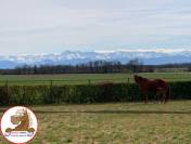 Equestrian property  Hautes-Pyrénées