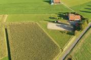 Magnifique ferme avec 3 boxes et paddock