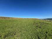 Magnifique ferme avec 3 boxes et paddock