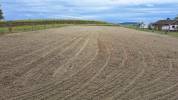 Magnifique ferme avec 3 boxes et paddock