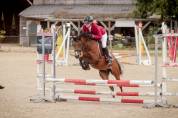 Top poney B
