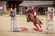 Top poney B