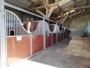 HARAS DES COSMIQUES