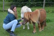 Pension bien être pour chevaux et poney (01)