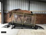 Tapis roulant Hippotrainer Plus - HIPPOCENTER