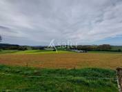 Propriété agricole très bien groupée d'environ 40 ha 50