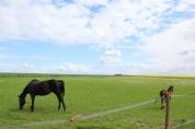Equestrian property  Somme
