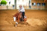 Pension chevaux - EZ Ranch