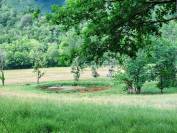 Aux portes de Tulle, domaine de 58 ha avec son bâti de caractè