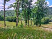 Aux portes de Tulle, domaine de 58 ha avec son bâti de caractè