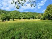 Aux portes de Tulle, domaine de 58 ha avec son bâti de caractè