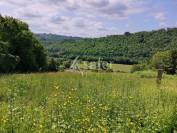 Aux portes de Tulle, domaine de 58 ha avec son bâti de caractè