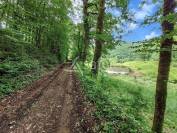 Domaine de 58 ha avec son b&acirc;ti de caract&egrave;re, &agrave; 1h30 de Clermo