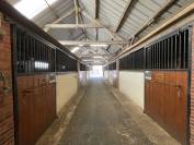 Centro di stagione cavallo In vendita Eure
