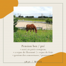 Pension chevaux Valence - Ecurie l'Oxer