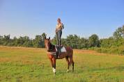 La Méthode Impériale vous présente les chevaux suivant 