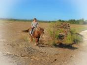 La Méthode Impériale vous présente les chevaux suivant 