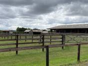 Centro di stagione cavallo In vendita Calvados