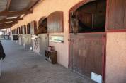 Luxurious equestrian property  Ain