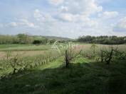 Exploitation agricole diversifiée sur 42ha avec irrigation