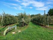 Exploitation agricole diversifiée sur 42ha avec irrigation