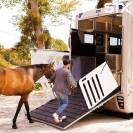 STX FRANCE - CAVAL CONCEPT | Horse transport > Horseboxes, Suppliers
