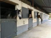 Proprietà equestre In vendita Haute-Garonne