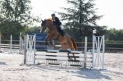 Pension chevaux/poneys proche Poitiers