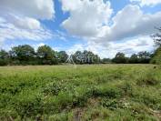 Propriété avec gîte sur 9 hectares