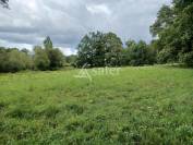 Propriété avec gîte sur 9 hectares