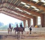 Pension chevaux enseignement - Oreil Équitation (49)