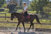 Cours d’équitation à Die Écurie les chevaux du Diois