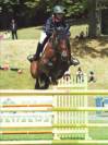 Sarantos - KWPN Cavallo da Sport Neerlandese 1999