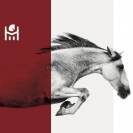 Bella dimora equestre In vendita Hérault