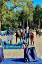 Place disponible sur les Écuries CLB Sporthorses 