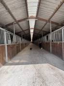 Les Écuries CLB Sporthorses 