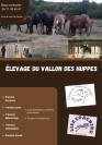 Élevage du Vallon des Huppes - Pension chevaux (87)