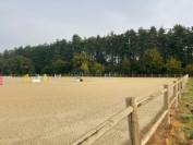 Superbe Domaine Equestre de 18 hectares