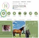 Formation Technicien du Bien-&ecirc;tre &eacute;quin