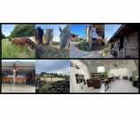 Formation Technicien du Bien-&ecirc;tre &eacute;quin